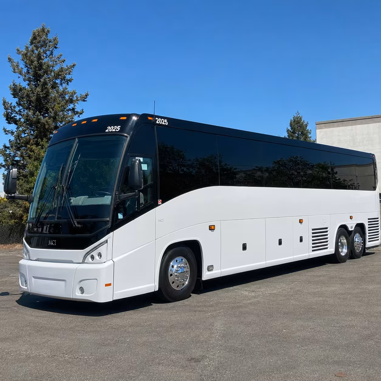 56 passenger charter bus